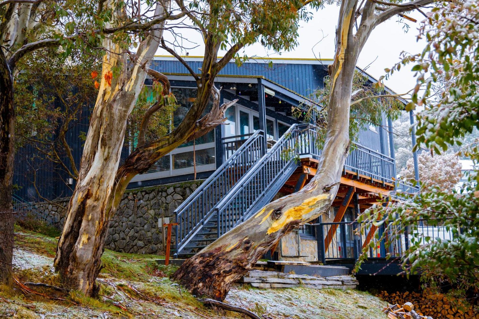 Yha Thredbo Pansiyon Dış mekan fotoğraf